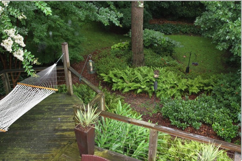 Shady back yard woodland hammock